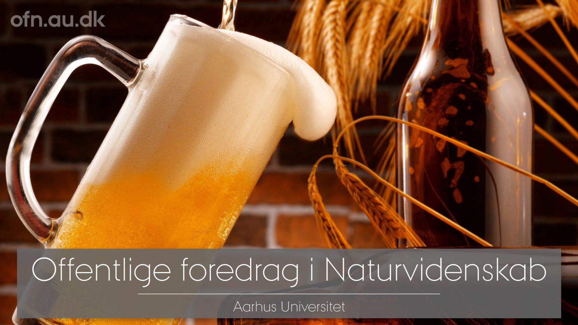 "Smagen af øl" Livestreaming Aarhus Universitet "Ramsing Forsamlingshus"